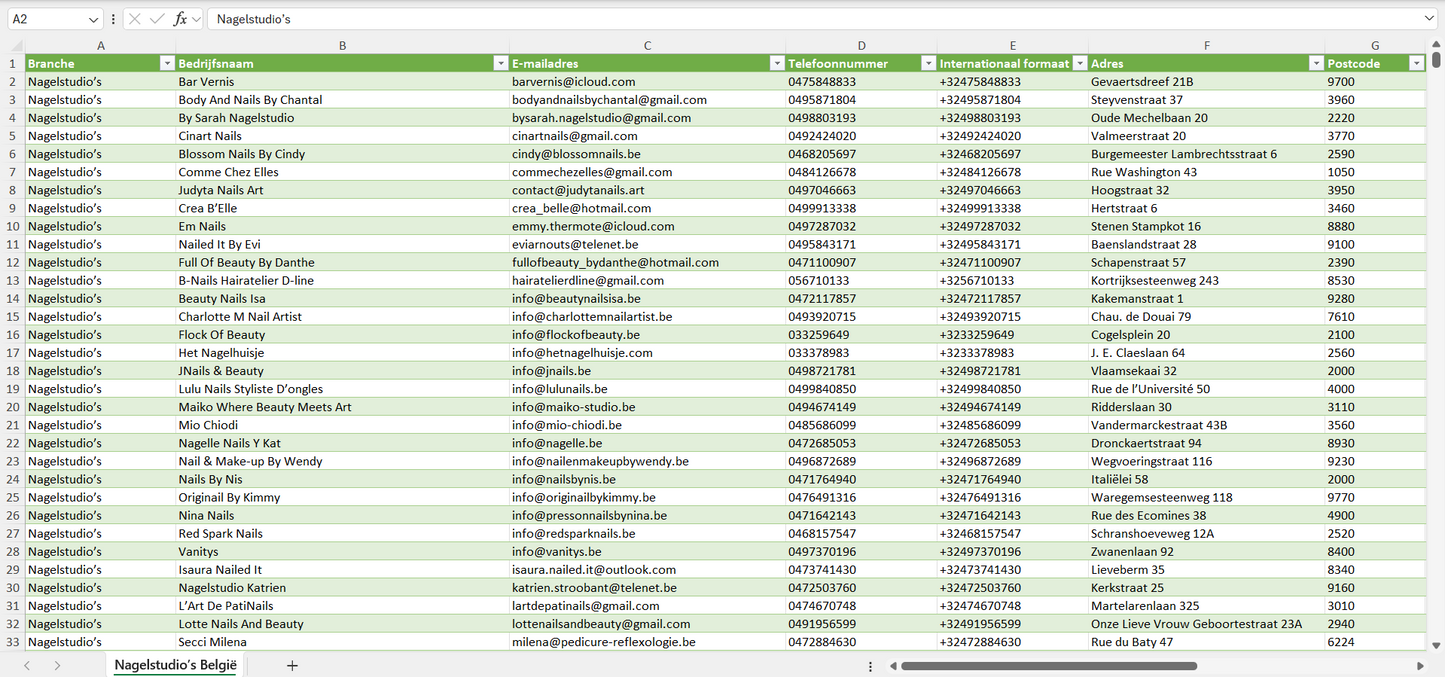 Dataset van alle nagelstudio’s in België