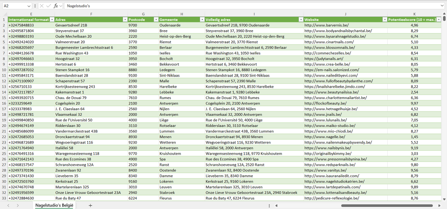 Dataset van alle nagelstudio’s in België