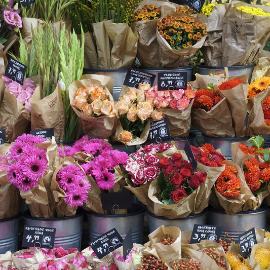 Dataset van alle bloemenwinkels in België