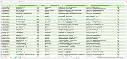 Dataset van alle nagelstudio’s in België