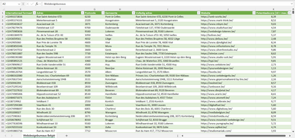 Dataset van alle webdesignbureaus in België