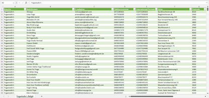 Dataset van alle yogastudio’s in België