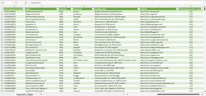 Dataset van alle yogastudio’s in België